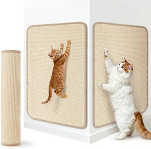 LOOBANILpXNb`[}bgL߂ƂV[gėpxVRTCUǂɓ\ϖՌL܌Ƌی쏝h~ȒPLpL܂Ƃ̌iXgX^sc