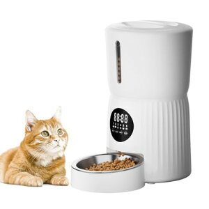 SurfolaaL^C}[[Wi-Fi/X}zsv]ybga16H莞4Le2WAYd􂢉\^XeXM蓮aȒP{tSP01