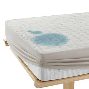 �N����(Kumori)�h���{�b�N�X�V�[�c�N�C�[���h���V�[�c�p�b�h��̌^�~���p�b�h�p�b�h��̌^1��3��S���S���t�����E�ȒP���˂�����V�[�c���֑΍�R�ۖh�L�h�_�j���p�􂦂�I�[���V�c