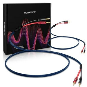 UCINNOVATE2{pbNoCCXs[J[P[ubLoiivOt13AWGHiFiOFCI[fBI^[~iXs[J[C[TEhVXez[VA^[oCAvTuE[t@[c