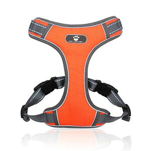 pn[lXpփhbOybgpin[lX3MˍޗPh~ȂʋCiC^A^A^ɌʋC߉\(LIW)