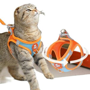 Lpn[lX[hZbgʋCbV˃e[vyʒ\^pUpi(S)