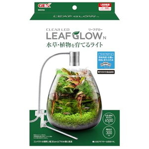 WFbNXGEXNALED[tO[ANAEpEAĂ郉CgUSBd