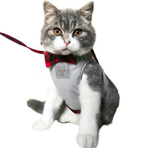 IKENOKOILpn[lX[v֌p[hUpoȒPEʋCfUC(O[L)