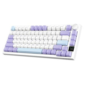 A.JAZZAK820Pro���J�j�J���L�[�{�[�h75%���j�A��RGB�z�b�g�X���b�v�Ή��Q�[�~���O�m�u�t��TFT�X�N���[��2.4Ghz/BT5.1/�L��Gasket�\���R���p�N�g�Ȃ�24K�S�[���h�P�[�u��Type-CUSB5