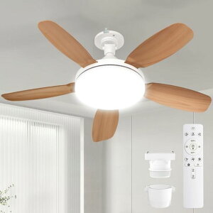 SUKITENV[Ot@Cgt@tƖy^E啗ʁEt]zV@44W120W5000lmODC[^[E2681cm[/^C}[@\Rt8-10ȃGldFFȒPc