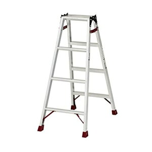 sJ(PiCa)sJR[|CVr4i41.10m͂prA~jEVo[BCD-120