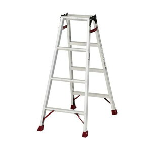 sJ(PiCa)sJR[|CVr4i41.10m͂prA~jEVo[BCD-120