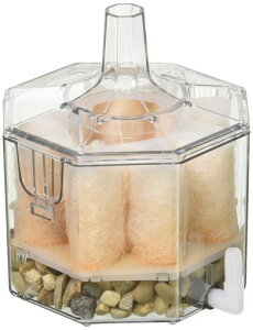 ����G�C�g�R�AZS�T�C�Y