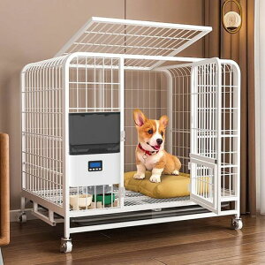 aL^C}[@\ybga@莞ʃP[Wt^Cva@^Lp2.3Le14H2WAYd莞ʎ蓮aȒP