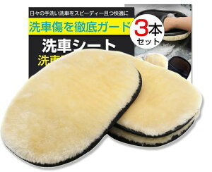 Fieekty[gJ[EHbVO[uԃX|Ww3Zbgxԃ~bgԃO[uC[gO[uNXܐԃObYӂӂ타[gt@Co[ȂAc