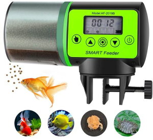 BlueFirea틛a360°]莞I[gtB[_[Mыp^CtB[_[Ézʒ߉\(O[)