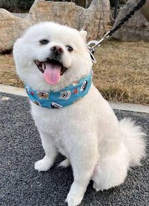 HakonaN[lbNlbNN[[₷ЂObYĔMǑ΍ObYpۗ܂ȂN[OЂL΍⊴^Io_iybgpւUʋCc