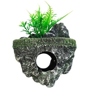 ANAEIuWFIuWFBƃANAECAEgΓA^VF^[Ϗ܋BƐI[igpuCeAANZT[14x13cm