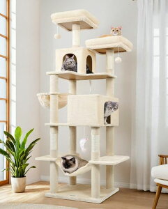 GloblazerLbg^[L^[^LpꑽLnEXLƋu^LxbhnEXBƑ^낵W]nbN܂Ƃ|[܌VRRc