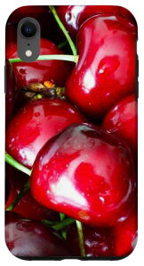 iPhoneXRڕt[cgsJW[T[MtgX}zP[X