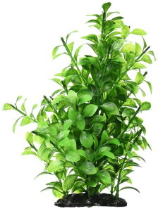 WFbNXGEXiՂnCOtB{[͂ȂlHvct