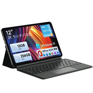 ECOHERO 2in1�^�u���b�g Pentium 6500Y 12GB/256GB 12�^ 2K IPS Office2024 ����