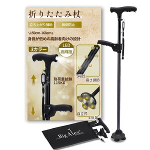 rOANX(BigAlex)4_܂肽ݏXebL⏕nhtLEDCg|ȂyʃA~܂ݐLk\ҒjpsxԎU̓̓c