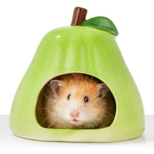 BUCATSTATEnX^[nEXBƏZ~bNȂ`QЂ菋΍LN}S[fWKA{tXL[h[t(~Ăgp\)TCc