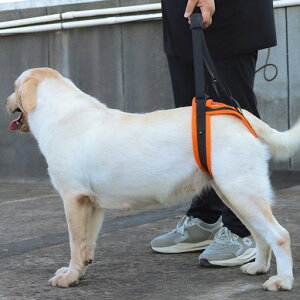 犬用介護ハーネス後足用犬歩行補助老犬後ろ足犬ハーネス散歩歩行サポート関節サポート調節可能通気性安定性簡単着脱保護犬欠陥犬散歩用登山用車や階段を乗る補助小型犬中型犬大型犬…