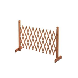 ytFXEeBXE_z(yʃRpNg)AR[fBItFX(150X70cm)HGC-1570BR.