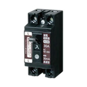 pi\jbN(Panasonic)`Rdu[J2P0EO.CȂ30A10mABJS3010N