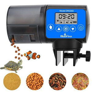 BlueFireaaI[gtB[_[MыpiK&]a@zʒ߉\É璆̉a