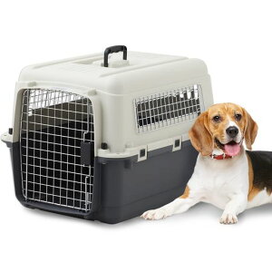 yOFTzybgPlt@[XgNXL70yOz50x67.5x47cm{̏d():4.5kgybgL[n[hL[tpnEXIATASNA