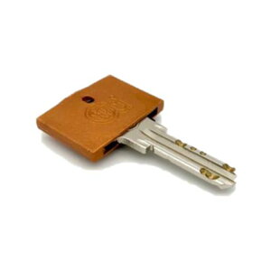 PlapperRۃL[Jo[zc3.5x2.5cm5.7mmԂƂ̌̎ɕ֗{C-03P