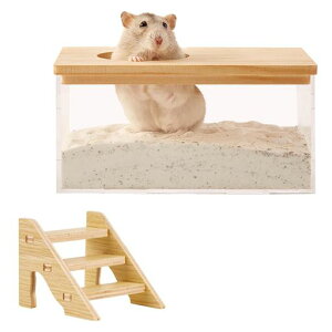 nX^[̍XebvtnX^[gCnX^[їeWtnlY~₷юUh~CʏVяꃂbg