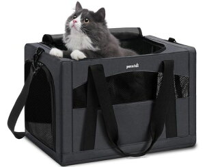 PecuteybgL[LL[obO񂰔LL[V_[L[obOLETM^pbNʋC܂肽݂ohCusʉ@hДp_[NO[