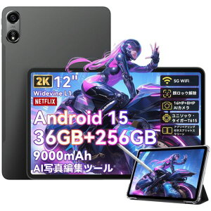 y2025VoAndroid15^ubg12C`zOSCALPad10012C`A2KIPSʁA2000*1200A36GB+256GB+2TBA9000mAh+PD18W}[dA8RA^A16+8MPAIJ