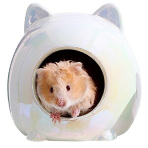 WIEXUNnX^[nEXnX^[xbhBƂxݏ킢nEXėp[΍􂦂tL[gȔLwbhfUCd݂邩ЂԂȂ