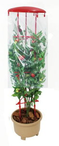 daim�Ƃ܂Ƃ̉J��ǂ蒼�a40cmx����150cm�g�}�g�Ƃ܂ƉJ�悯�J�����v�����^�[�����V�[�g�J�����V�[�g��؍͔|�ƒ�؉��ƒ�p
