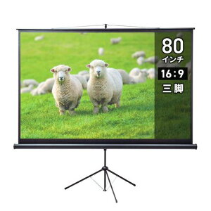 �T�����T�v���C(SanwaSupply)�v���W�F�N�^�[�X�N���[��(�O�r��)PRS-S80HD