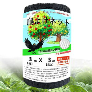 防鳥ネット3x3m強化HDPE網鳥よけネット鳩よけ防鳥網結束バンド50本付き果樹ベランダ用猫よけ落下防止園芸用ネット野菜畑鶏小屋用網ネット