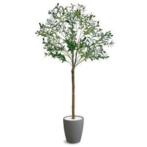 [URBAN]tFCNO[I[u180y͂ȂꏊI΂Ay߂lHϗtAzI[u̖؃tFCNO[ϗtA^lHAA(O[)OLE-180GY