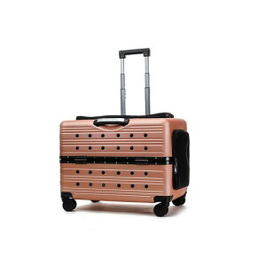 XUDREZybgL[LX^[tybgJ[g4փL[P[XL^^n[hL[ω׏d20KGyʂosʉ@(sNS[h)