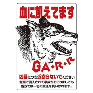 ybgpiQ[gTCXebJ[(h^Cv)000950