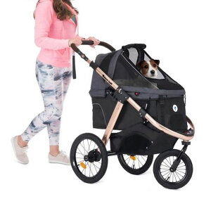 uO֏vTotoroballybgJ[goM[3֌p[Ə^^ybgL[J[g^b`܂ݎΖʎSa^CybgoM[p[Ɓc