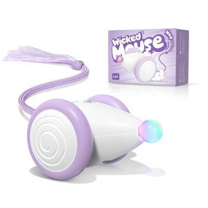 HoochiixCheerbleLEBLbh}EXlIO2025˂ݓlVєL炵dlY~̂2Xs[hType-C[d^sXgXWickedMouseNeo