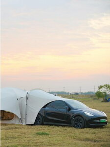 VidalidoridgetentuRŃegvpJ[TCh^[v