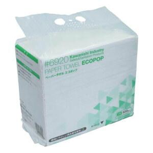 쐼H#6920y[p[^IGR|bv500