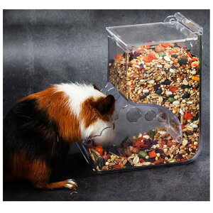 Sekusiia-nX^[Epa΍ʖږhP[WŒpiZS-02^Cv