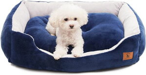 PEOPLE&PETSybgxbhGARpӂ݂ӂݔLxbhNbV``3DȂӂӂgo[VuʔN􂦂MOa57x43x15cmu[gΉɂnNbV͊Odl