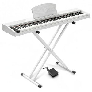 �y��p�X�^���h�t���zLongeye �����A�C �d�q�s�A�m 88���� ���ǂ������� MOLD2 �ؐ��{�f�B ���{��\�L MIDI�[�q�Ή� �y�_���t�� 380��މ��F �ڒ��A���g���m�[���@�\�t�� DREAM���� ���S�ҁA���K�c