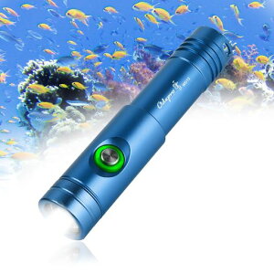 OdeproWD12最大1050ルーメンダイビングライトIP68水中ライトダイバーライトダイビング用懐中電灯LEDナイトダイビング(青)