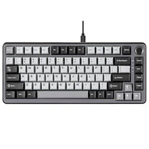 YUNZII RT75 ���s�b�h�g���K�[ �L�[�{�[�h ���J�j�J�� TKL �Q�[�~���O ���C�X�C�b�` RGB �L�� USB �R���p�N�g 75%�z��m�u�t��PBT �L�[�L���b�v ���߉\�쓮 (��, ���C�X�C�b�`)