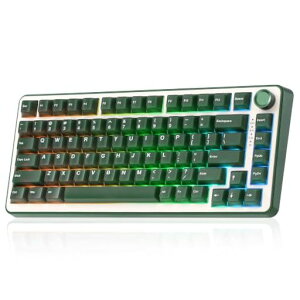 YUNZII B75 PRO 75% �K�X�P�b�g�Q�[�~���O�L�[�{�[�h �������J�j�J���L�[�{�[�h BT/2.4G/�L�� ���C�����X �z�b�g�X���b�v ���� RGB �m�u�t���J�X�^���L�[�{�[�h Mac/Win�p �Z�K�F�؎擾 (�I���[�u�O�c